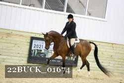 22BUCK_01674 proof