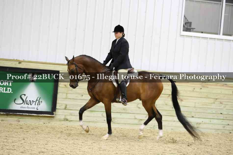 Proof 22BUCK_01675