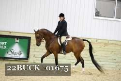 22BUCK_01675 proof