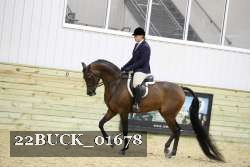 22BUCK_01678 proof