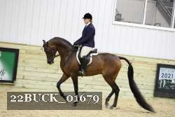 22BUCK_01679 proof