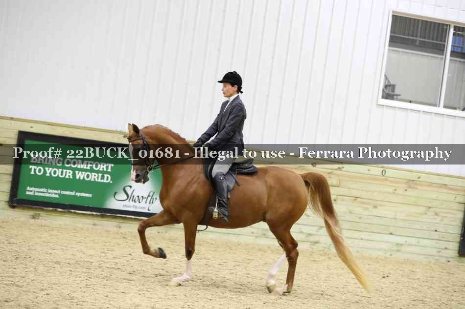 Proof 22BUCK_01681