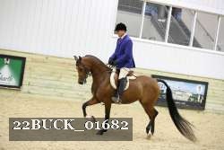 22BUCK_01682 proof