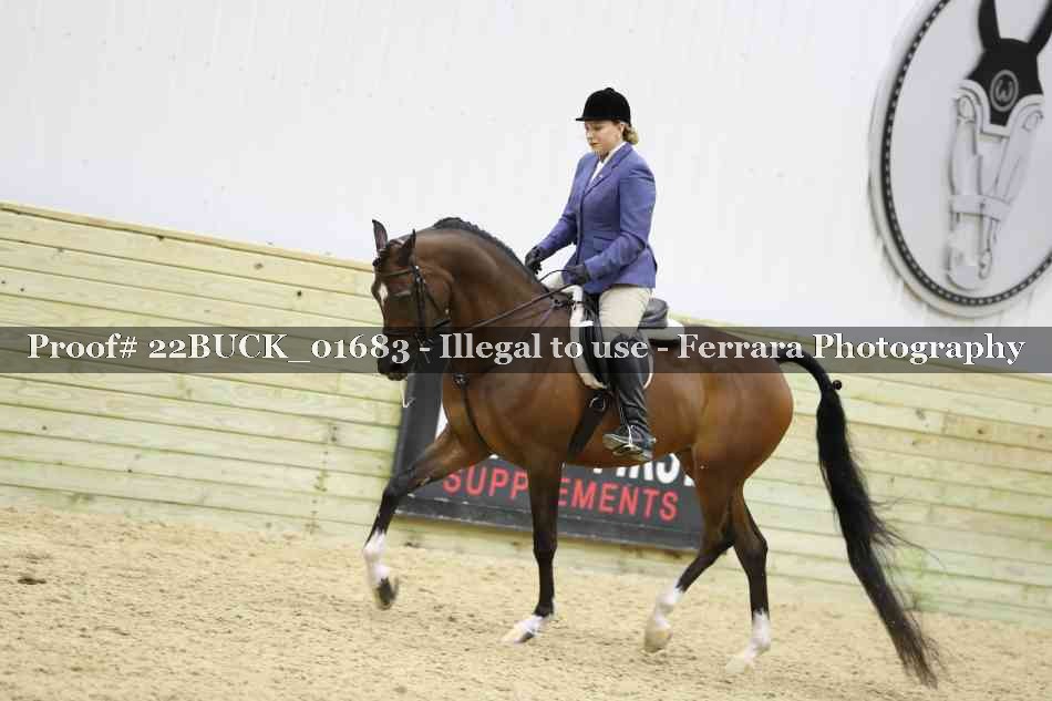 Proof 22BUCK_01683