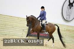 22BUCK_01683 proof