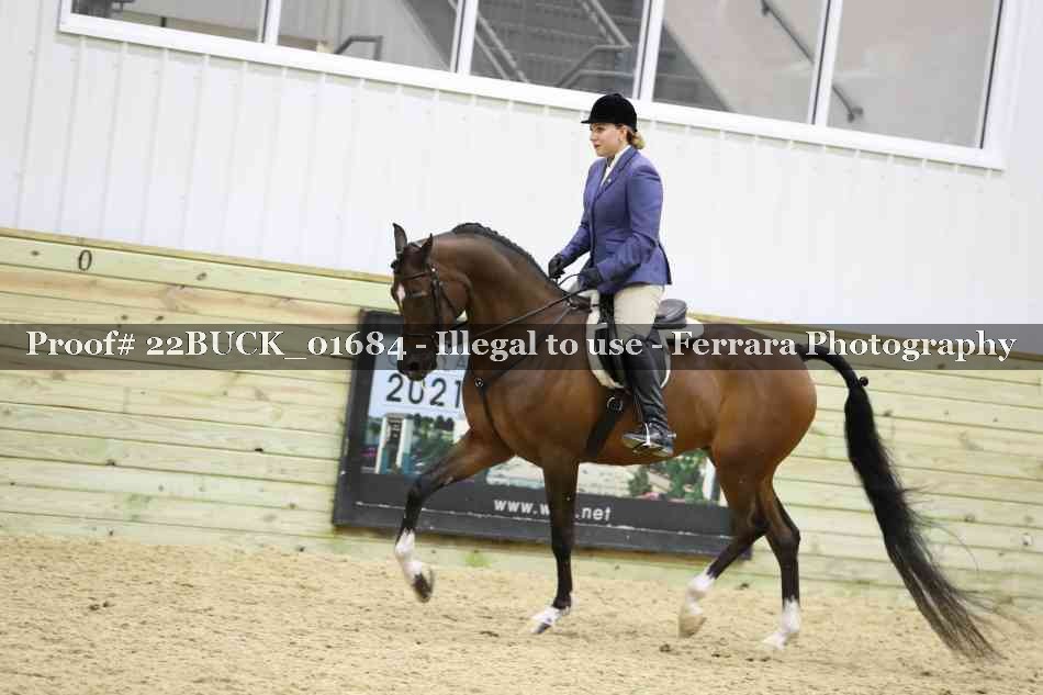 Proof 22BUCK_01684
