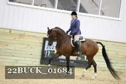 22BUCK_01684 proof