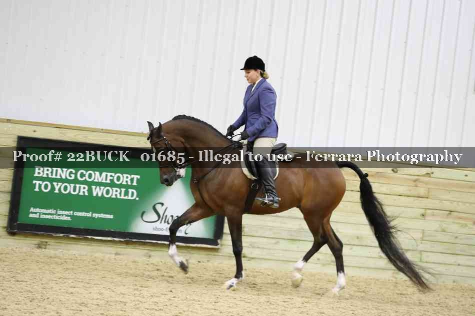 Proof 22BUCK_01685
