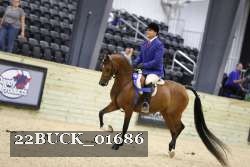 22BUCK_01686 proof