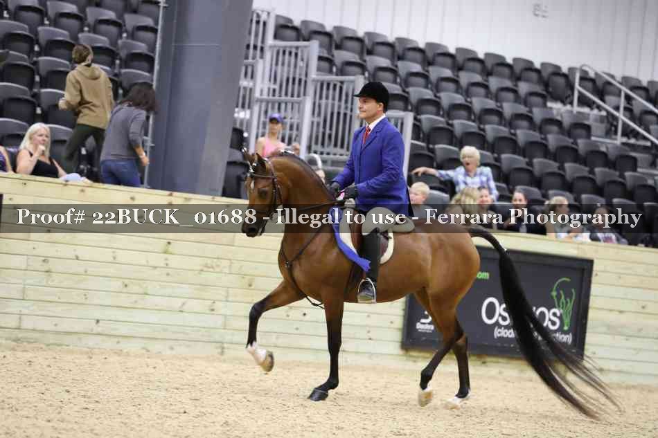Proof 22BUCK_01688