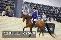 22BUCK_01688 proof