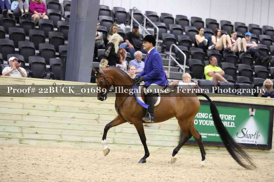 Proof 22BUCK_01689