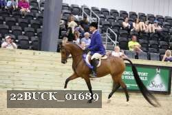 22BUCK_01689 proof