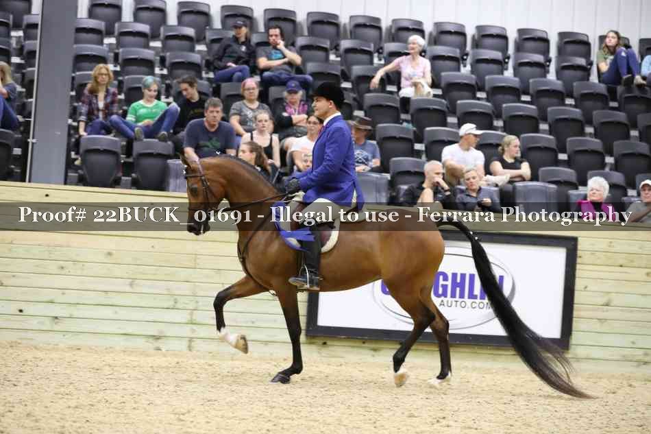 Proof 22BUCK_01691