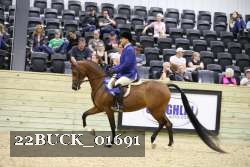 22BUCK_01691 proof