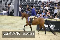 22BUCK_01693 proof