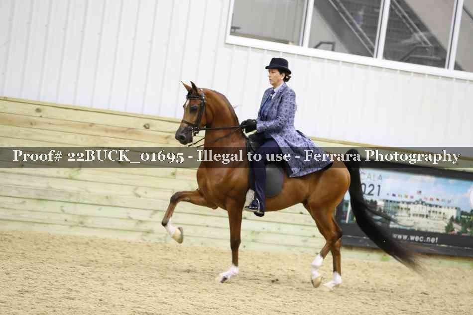 Proof 22BUCK_01695