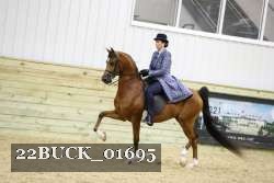 22BUCK_01695 proof