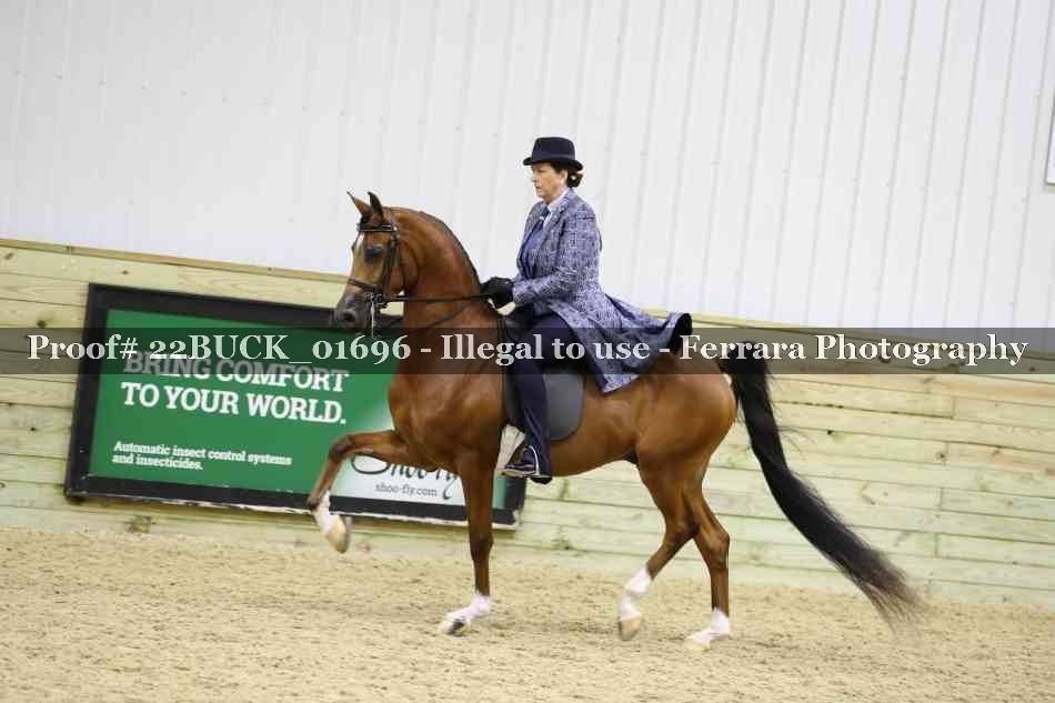 Proof 22BUCK_01696