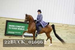 22BUCK_01696 proof