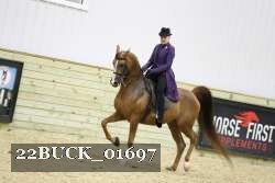 22BUCK_01697 proof