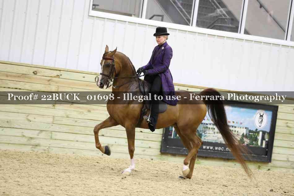 Proof 22BUCK_01698