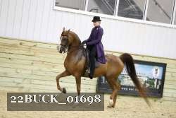 22BUCK_01698 proof