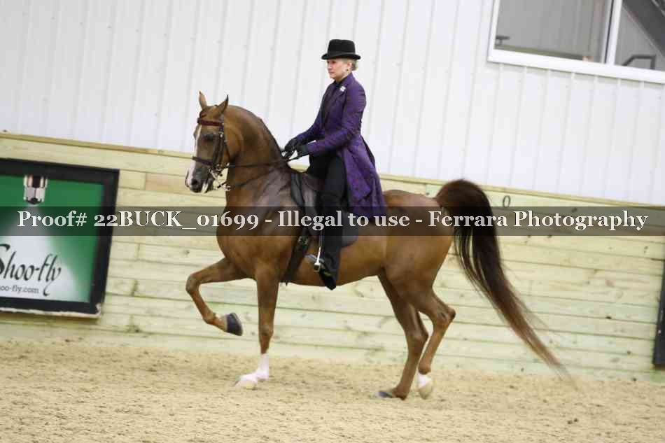 Proof 22BUCK_01699