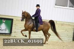 22BUCK_01699 proof