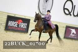 22BUCK_01700 proof