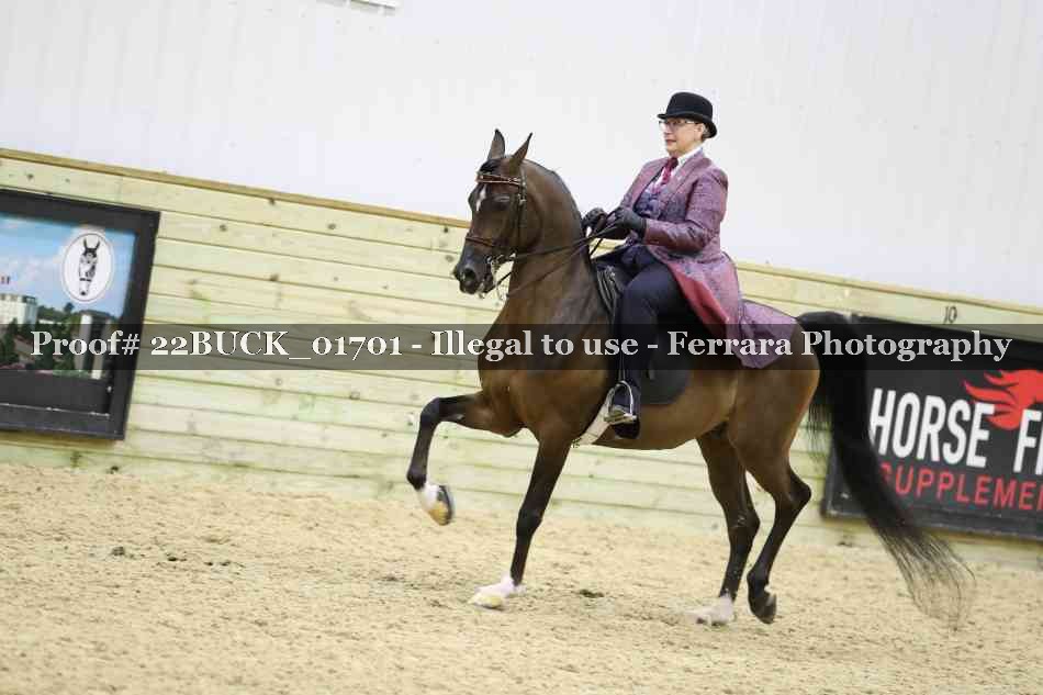 Proof 22BUCK_01701