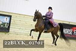 22BUCK_01701 proof