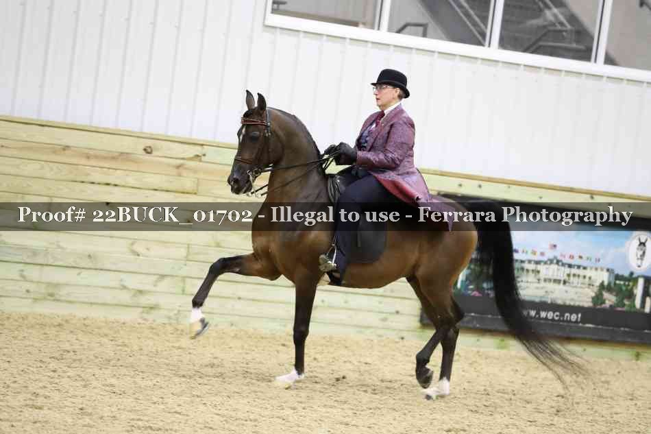 Proof 22BUCK_01702