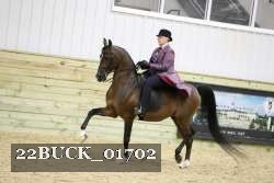 22BUCK_01702 proof