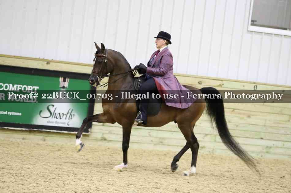 Proof 22BUCK_01703