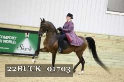 22BUCK_01703 proof