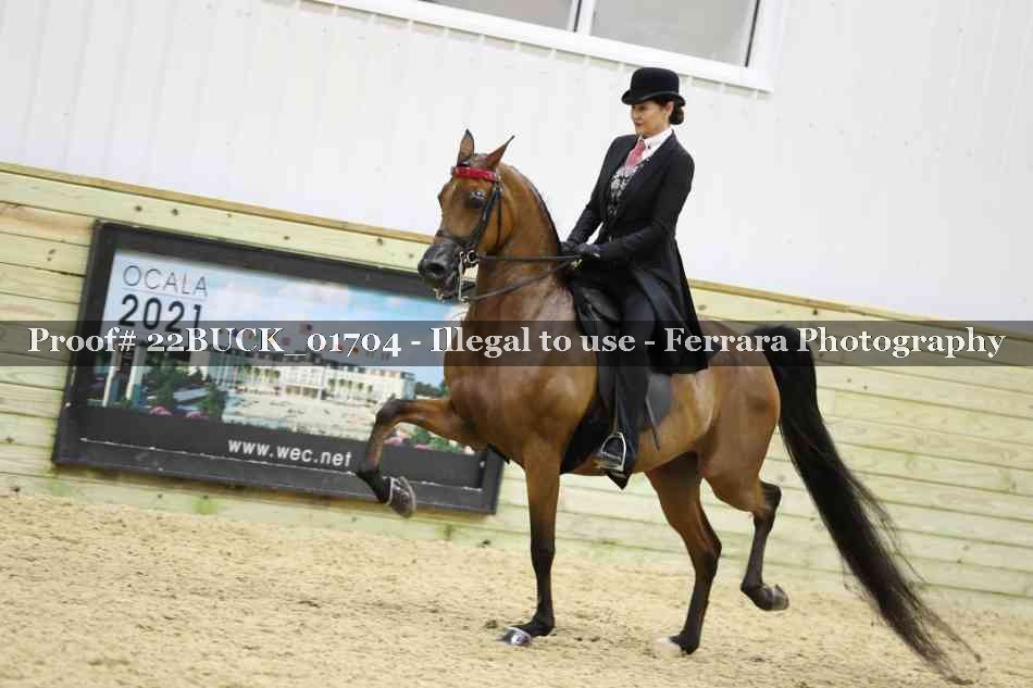 Proof 22BUCK_01704
