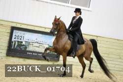 22BUCK_01704 proof