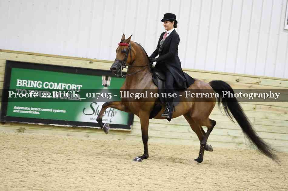Proof 22BUCK_01705