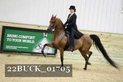22BUCK_01705 proof
