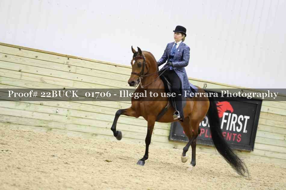 Proof 22BUCK_01706