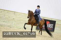 22BUCK_01706 proof