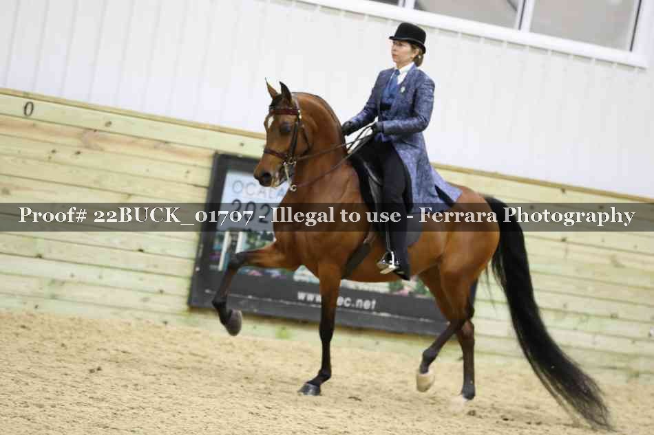 Proof 22BUCK_01707