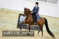 22BUCK_01707 proof