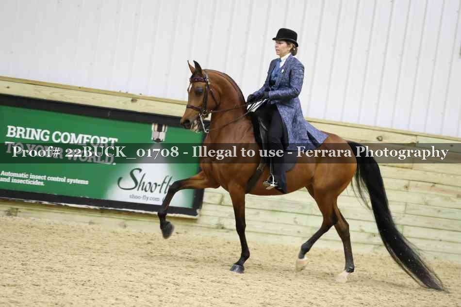 Proof 22BUCK_01708