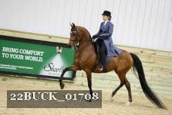 22BUCK_01708 proof