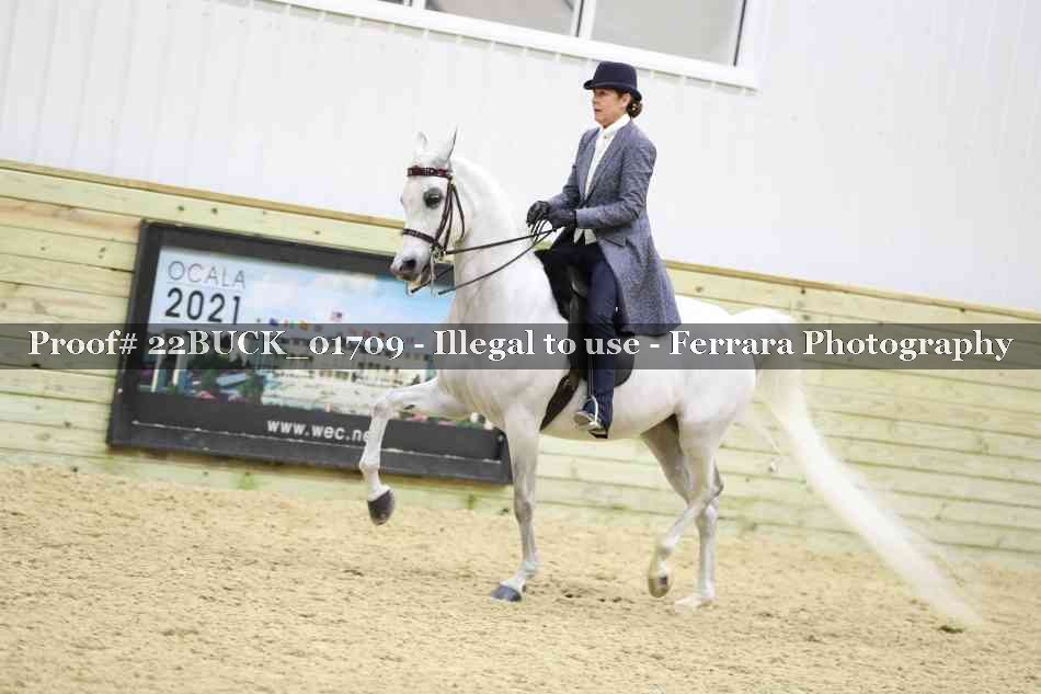Proof 22BUCK_01709