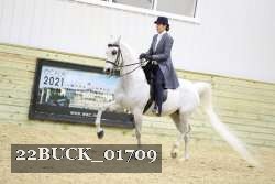 22BUCK_01709 proof