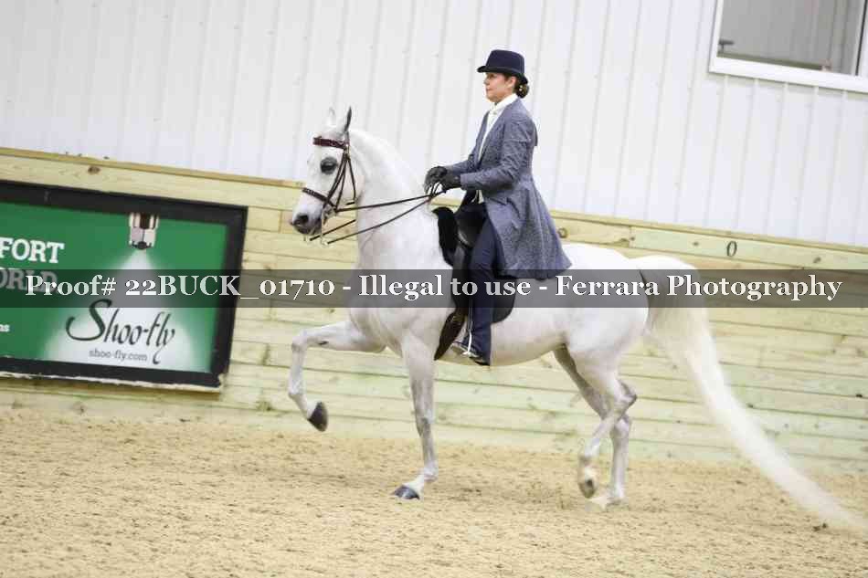 Proof 22BUCK_01710