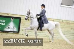 22BUCK_01710 proof
